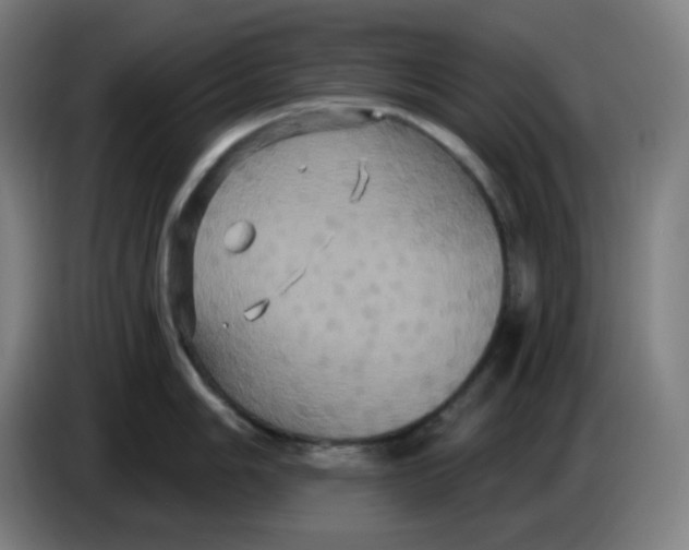 X0000086221006200704191734