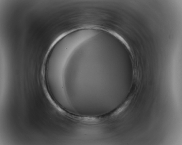 X0000086221007200704191734