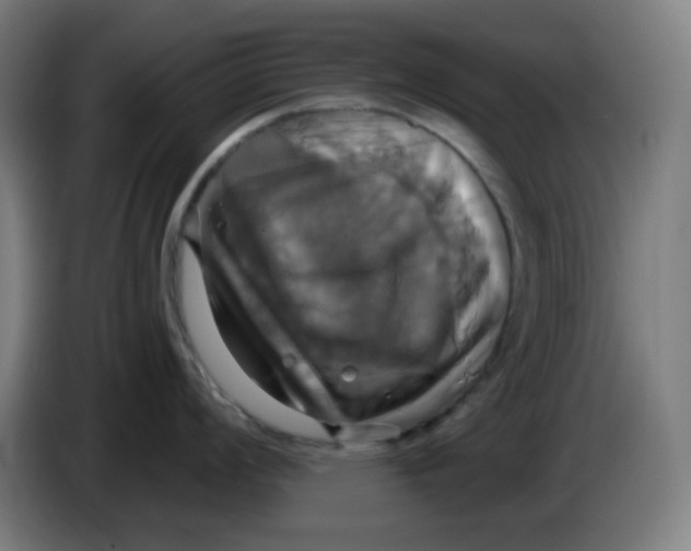 X0000086221008200704191734