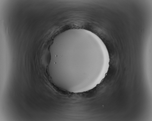 X0000086221009200704191734