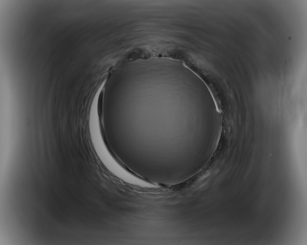 X0000086221010200704191734