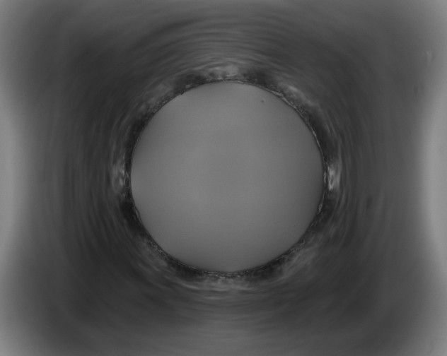 X0000086221011200704191734