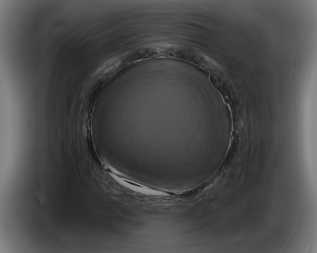 X0000086221014200704191734