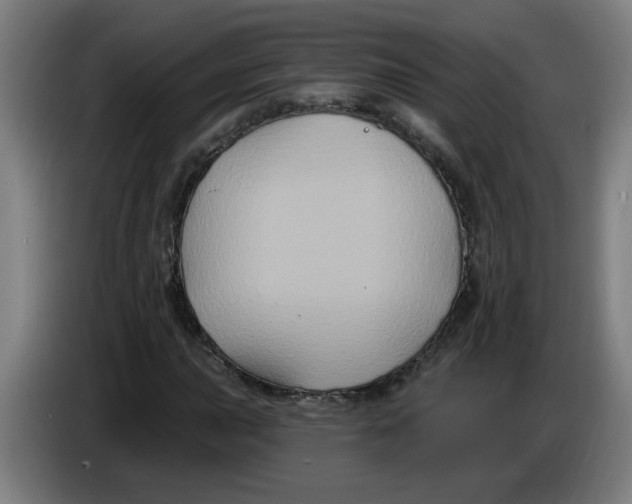 X0000086221015200704191734