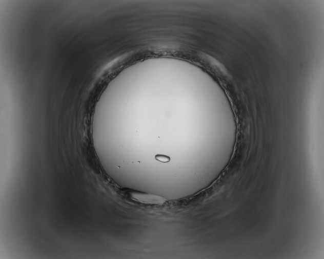 X0000086221016200704191734