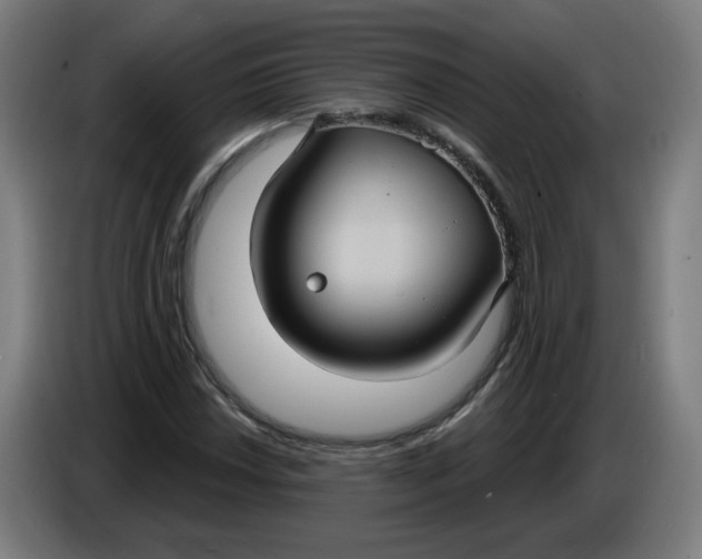 X0000086221018200704191734