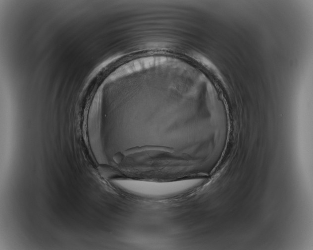 X0000086221019200704191734