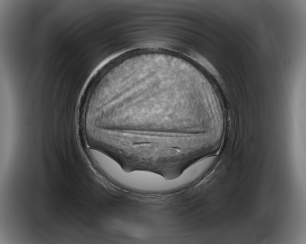 X0000086221020200704191734