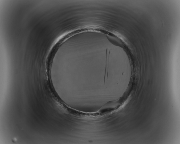 X0000086221022200704191734