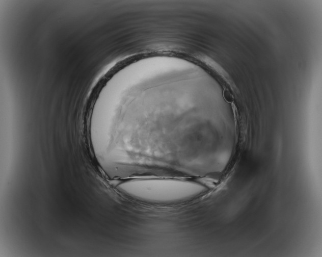 X0000086221023200704191734