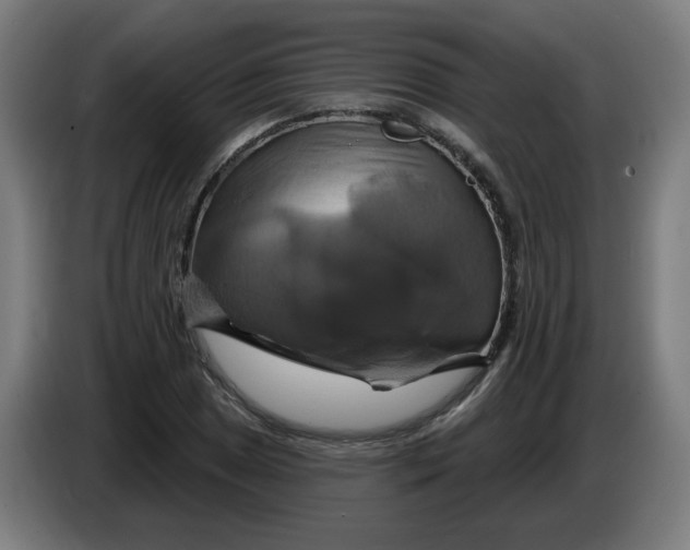 X0000086221025200704191734