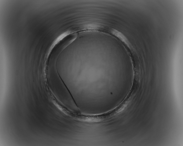 X0000086221026200704191734