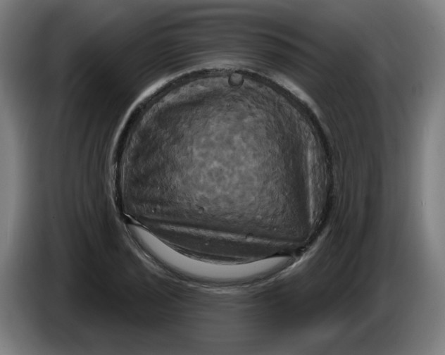 X0000086221029200704191734