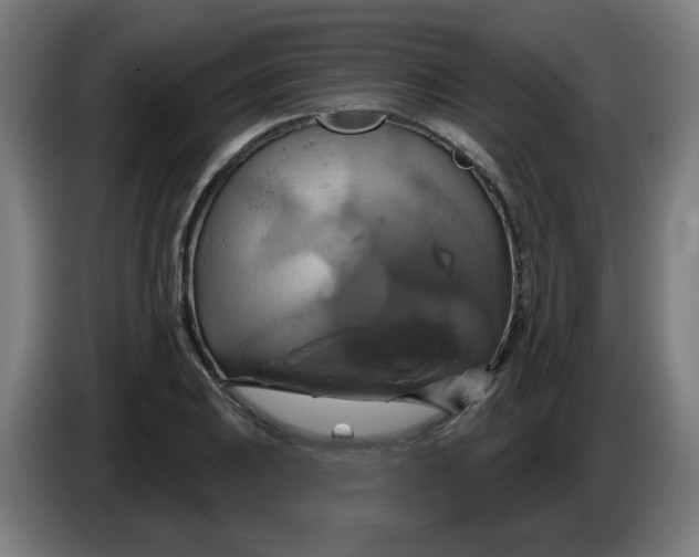 X0000086221031200704191734