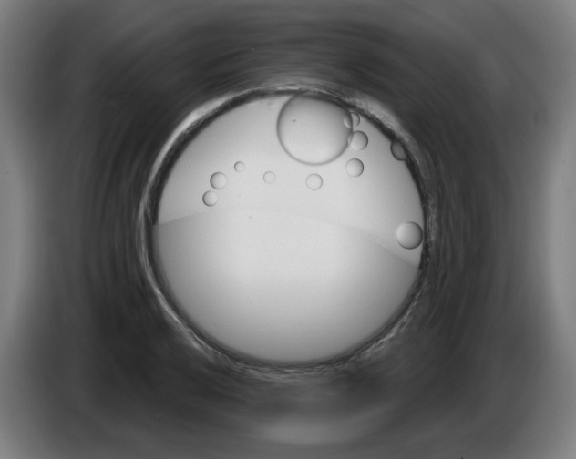 X0000086221032200704191734