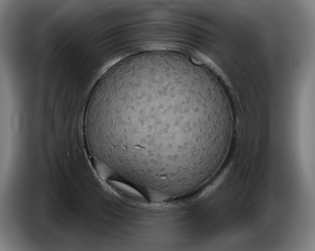 X0000086221033200704191734