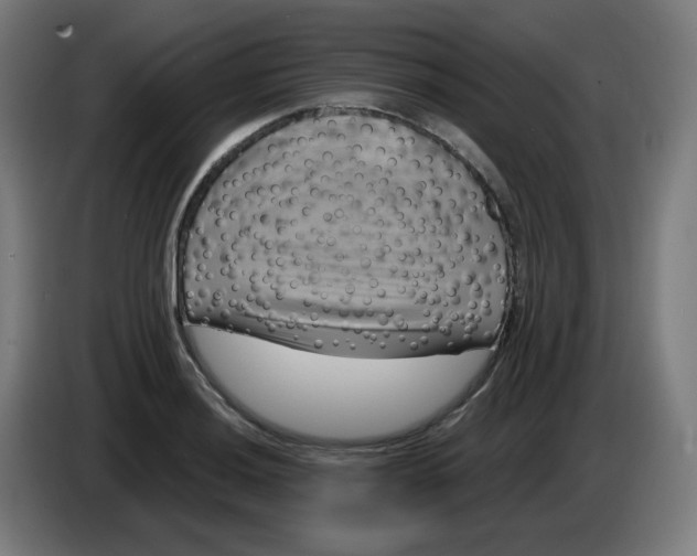 X0000086221036200704191734