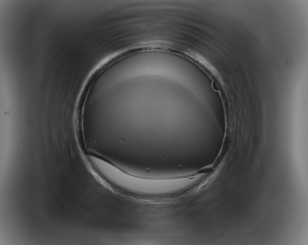 X0000086221037200704191734