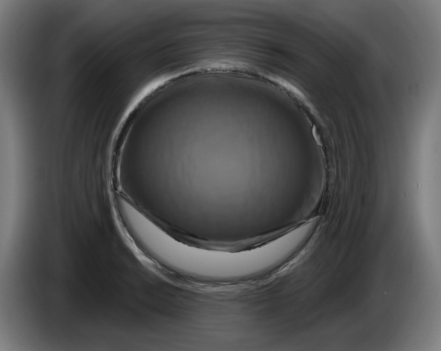 X0000086221038200704191734