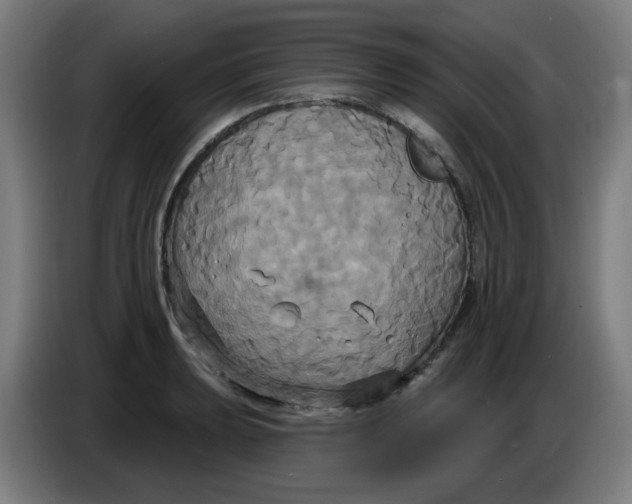 X0000086221039200704191734