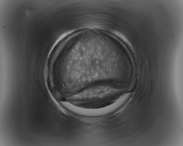 X0000086221040200704191734