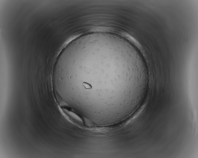 X0000086221041200704191734