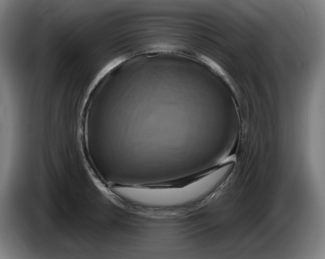 X0000086221042200704191734