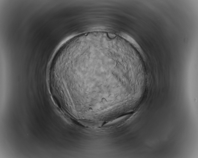 X0000086221043200704191734