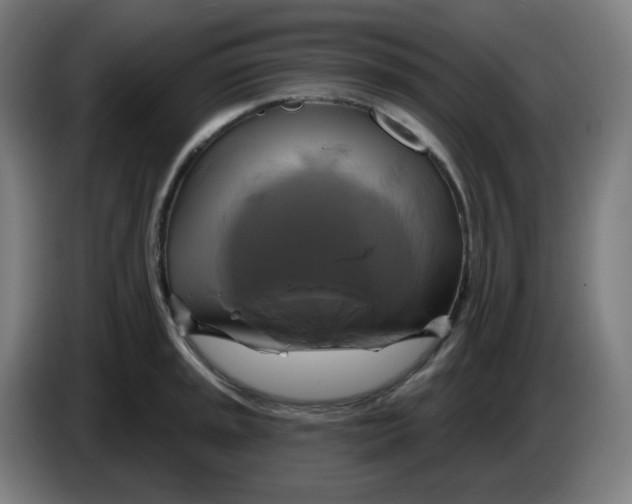 X0000086221045200704191734