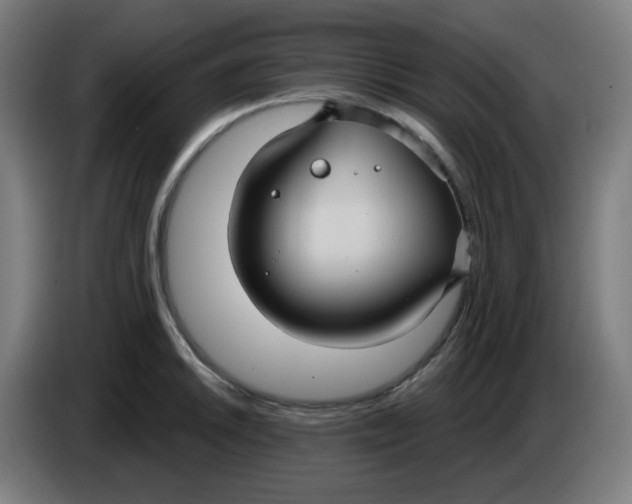 X0000086221046200704191734