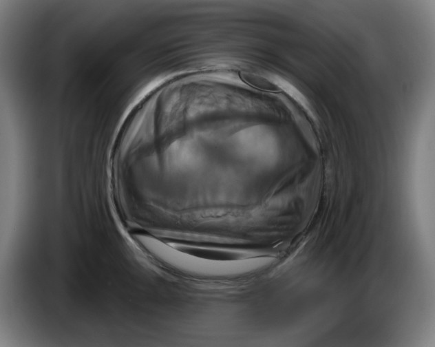 X0000086221047200704191734