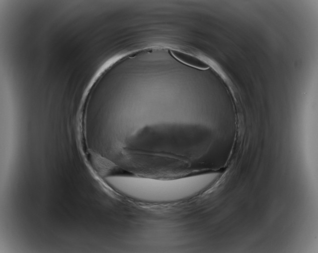 X0000086221048200704191734