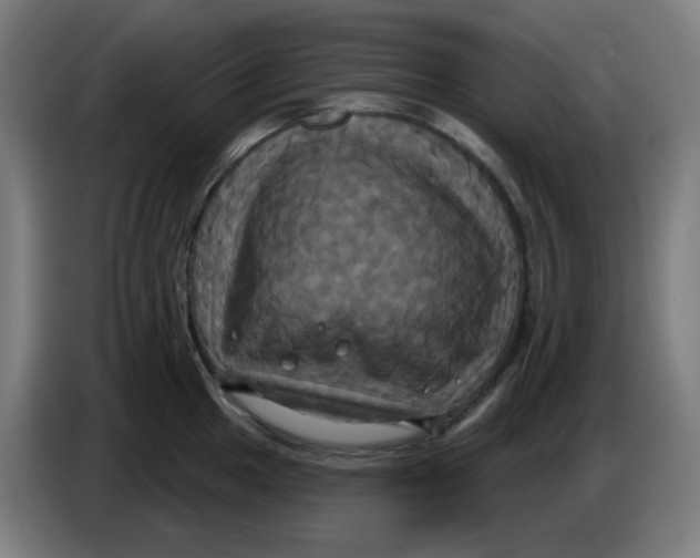 X0000086221049200704191734