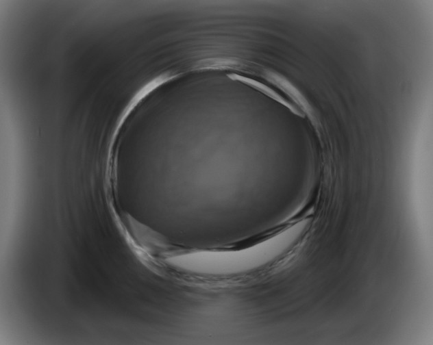 X0000086221050200704191734