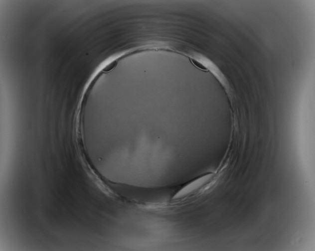 X0000086221052200704191734