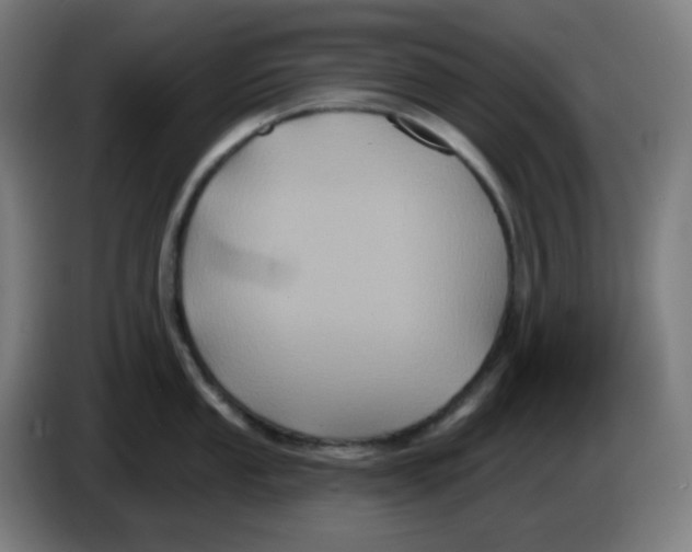 X0000086221053200704191734