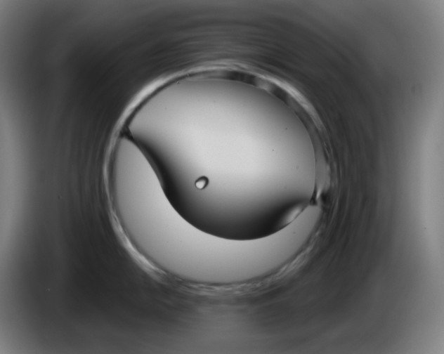 X0000086221054200704191734