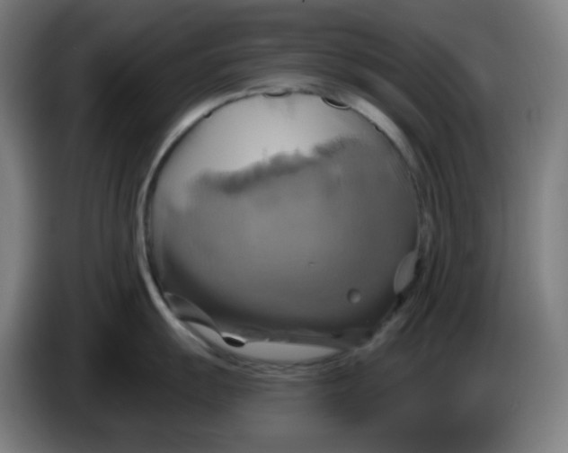 X0000086221055200704191734