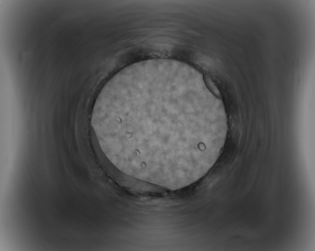 X0000086221057200704191734