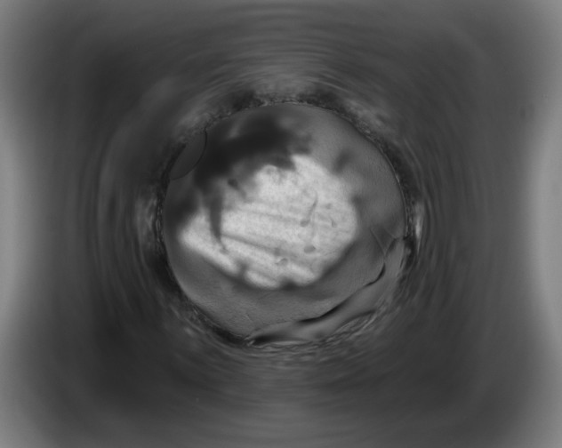 X0000086221059200704191734