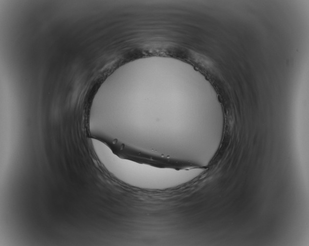 X0000086221060200704191734