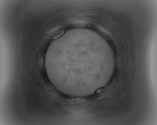 X0000086221061200704191734