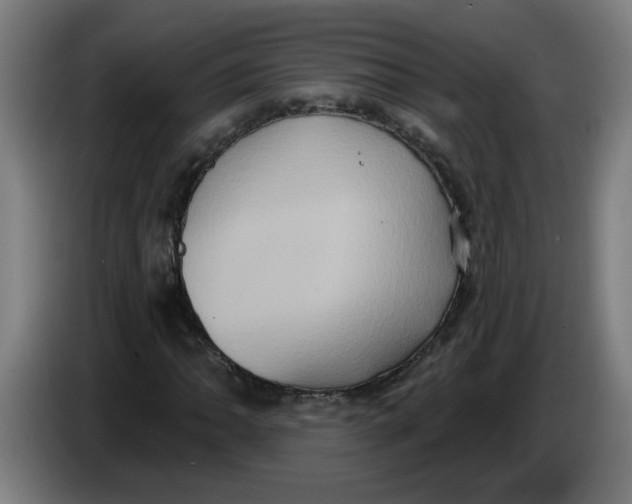 X0000086221062200704191734