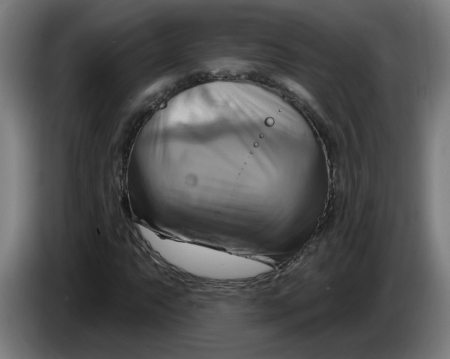 X0000086221063200704191734