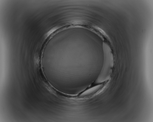 X0000086221065200704191733