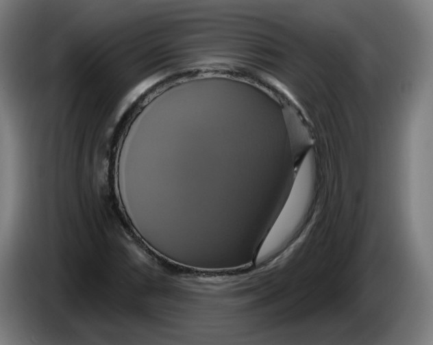 X0000086221066200704191733