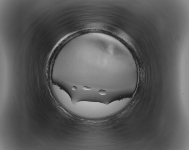 X0000086221068200704191733