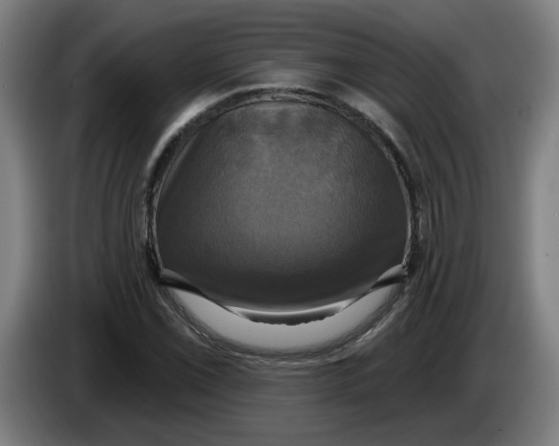 X0000086221069200704191733