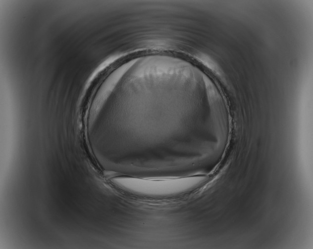 X0000086221070200704191733