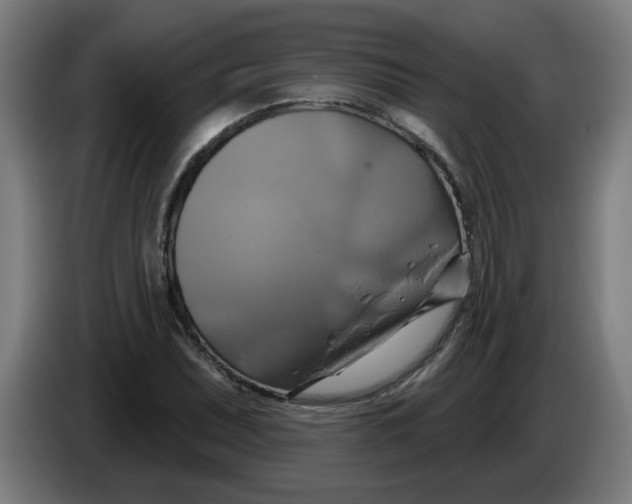 X0000086221071200704191733